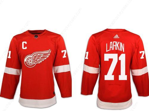 Adidas Men’s Detroit Red Wings #71 Dylan Larkin Red With C Patch Home Authentic Stitched NHL Jersey