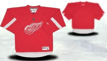 Detroit Red Wings Youths Customized Red Jersey