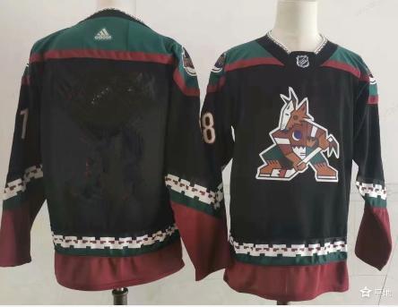 Men’s Arizona Coyotes Blank Throwback Kachina Black Jersey