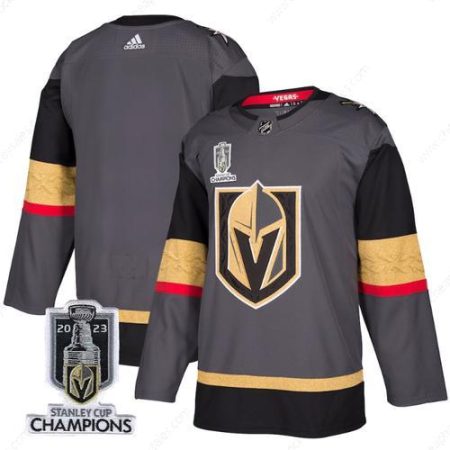 Men’s Vegas Golden Knights Blank Gray 2023 Stanley Cup Champions Stitched Jersey